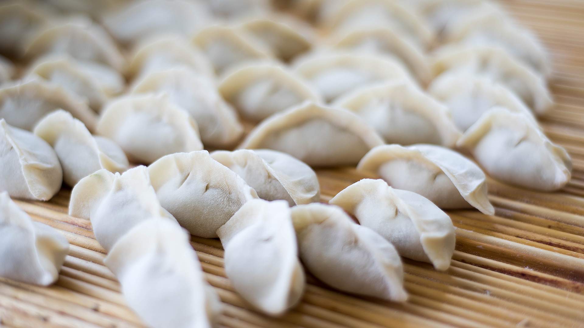 Dumpling Day