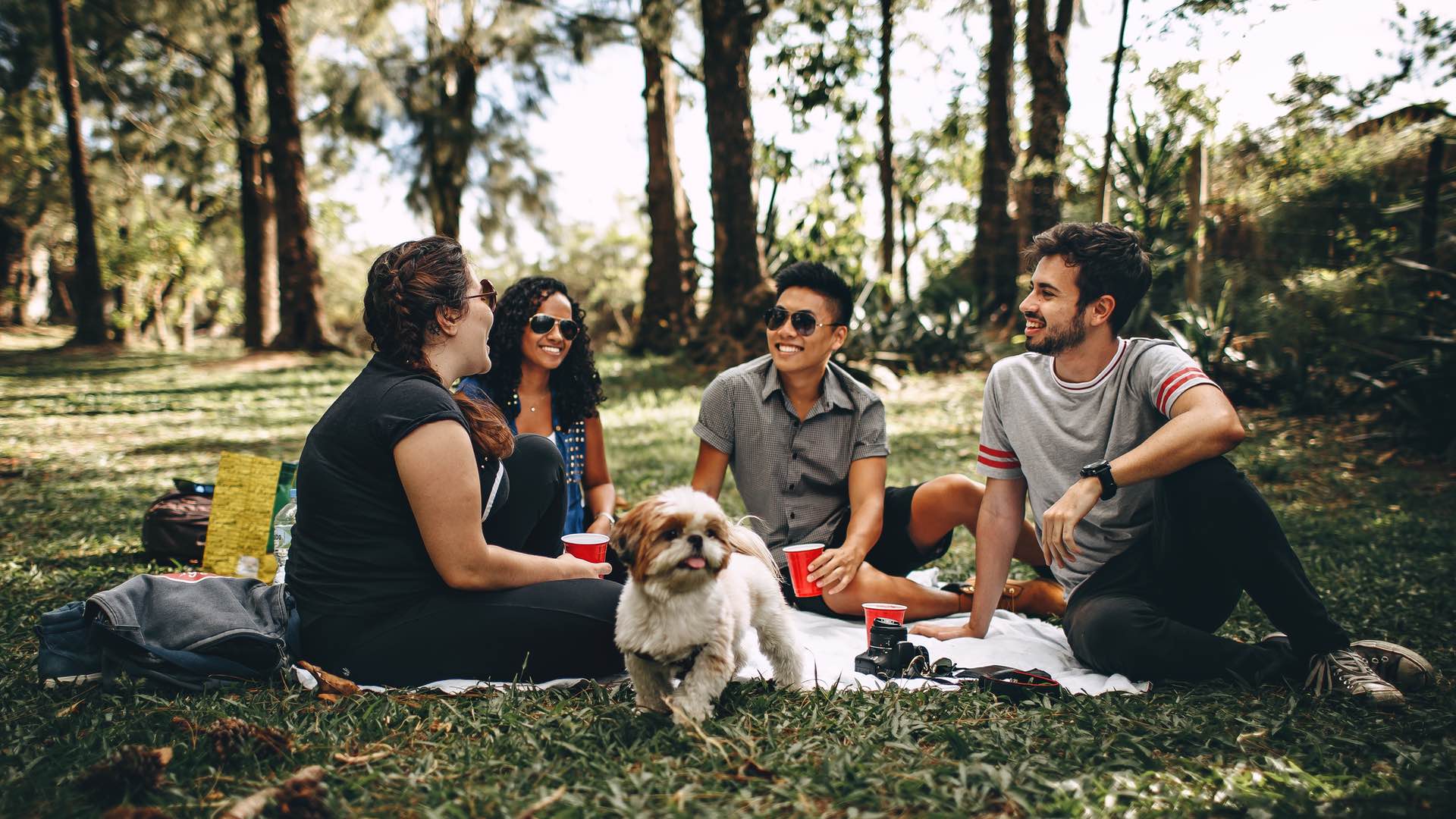 Where to Buy the Best Supplies in Sydney for a Perfect Picnic