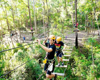 Seven Brisbane Activities That Are Fun for Both Kidults and Their Actual Children