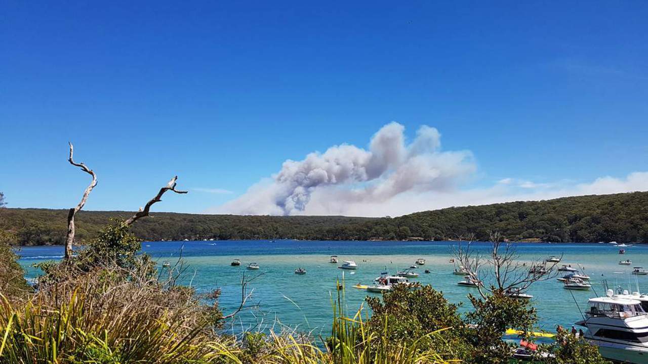 Sydney's Royal National Park Has Been Closed Due to Out-of-Control Bushfires