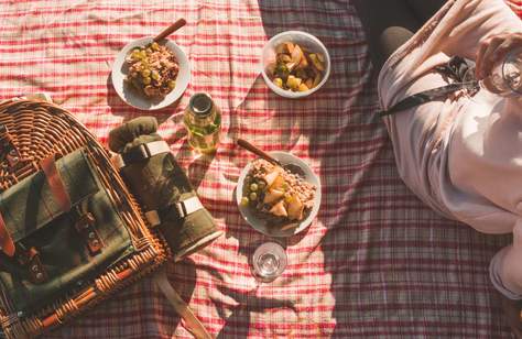 Eleven Classic Picnic Spots to Try Around Auckland This Summer