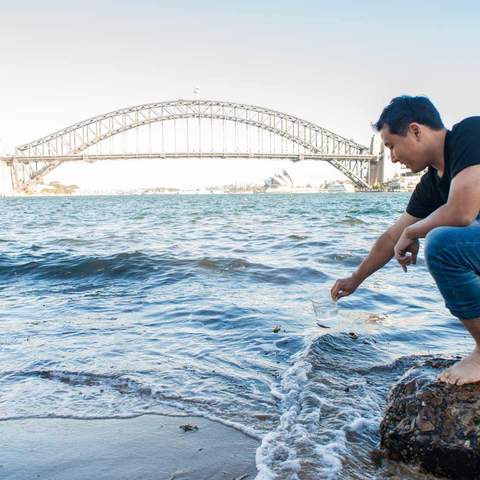 Australian Scientists Have Created a Tiny Filtration Device That Can Make Sydney Harbour Water Drinkable