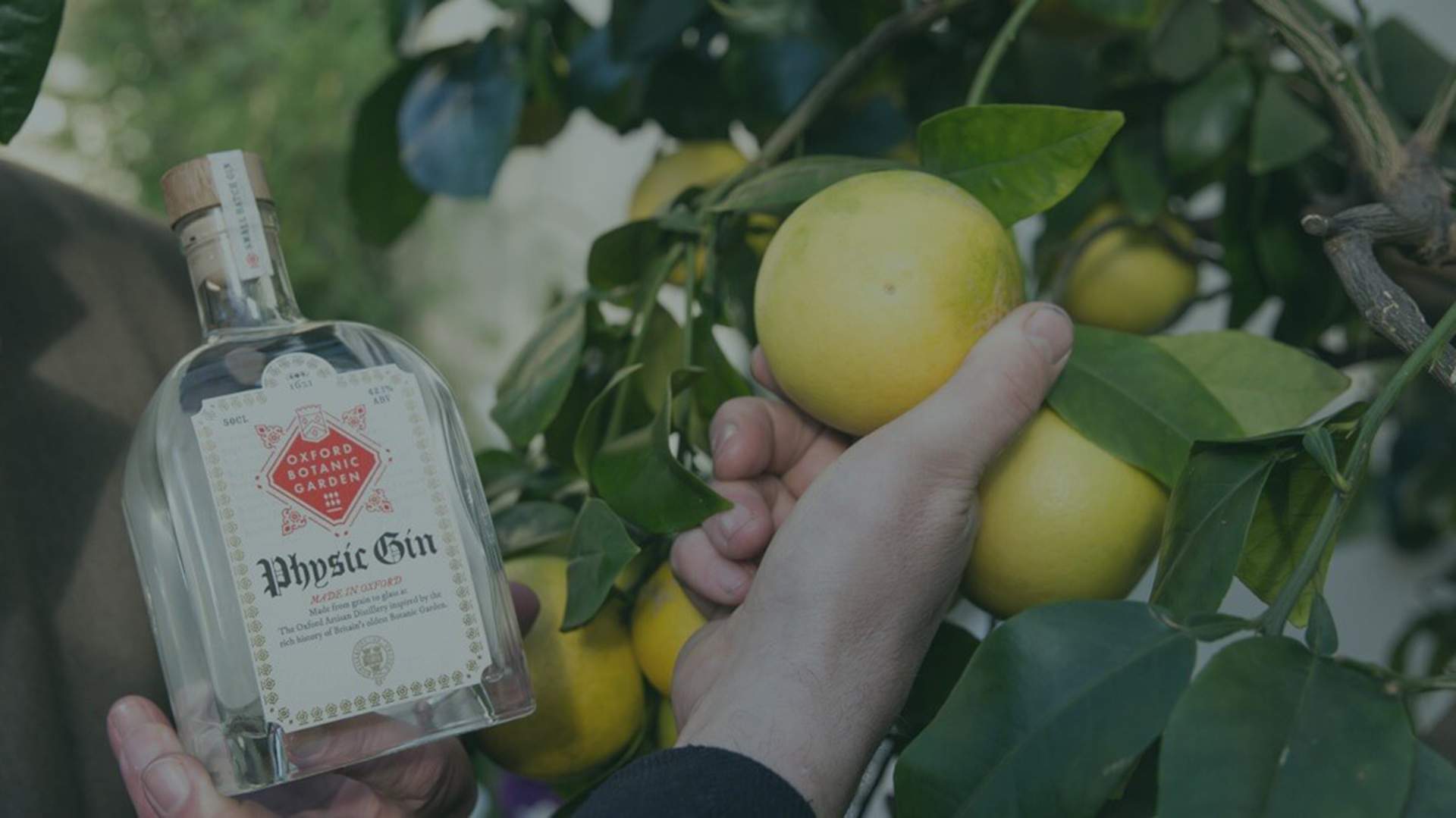Oxford University Is Launching Its Own Gin