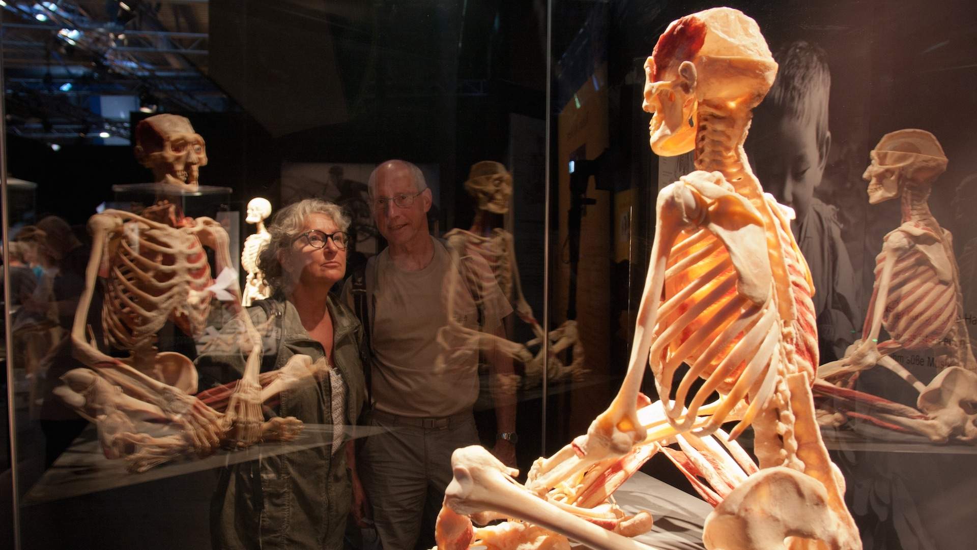 A Huge Exhibition of Real Human Bodies Is Coming to ...