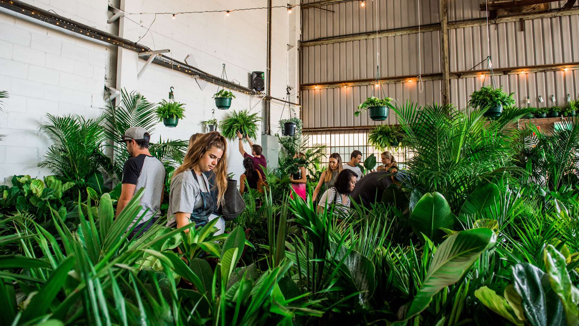 Indoor Plant Warehouse Party