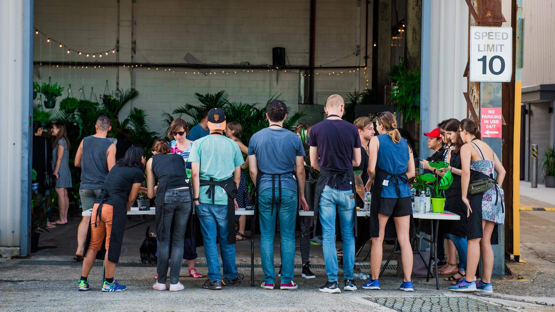 Jungle Party Indoor Plant Warehouse Sale and Giveaway