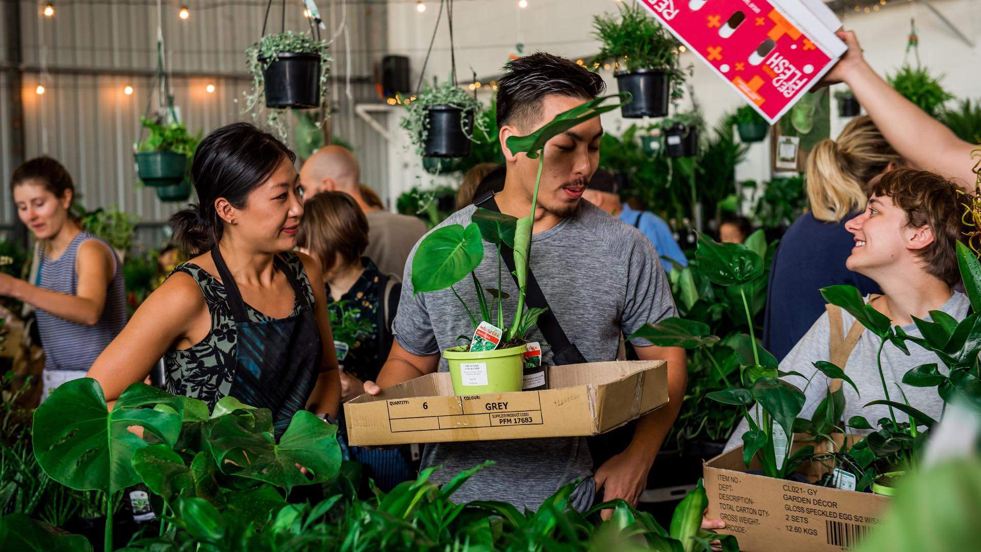 Jungle Party Indoor Plant Warehouse Sale and Giveaway