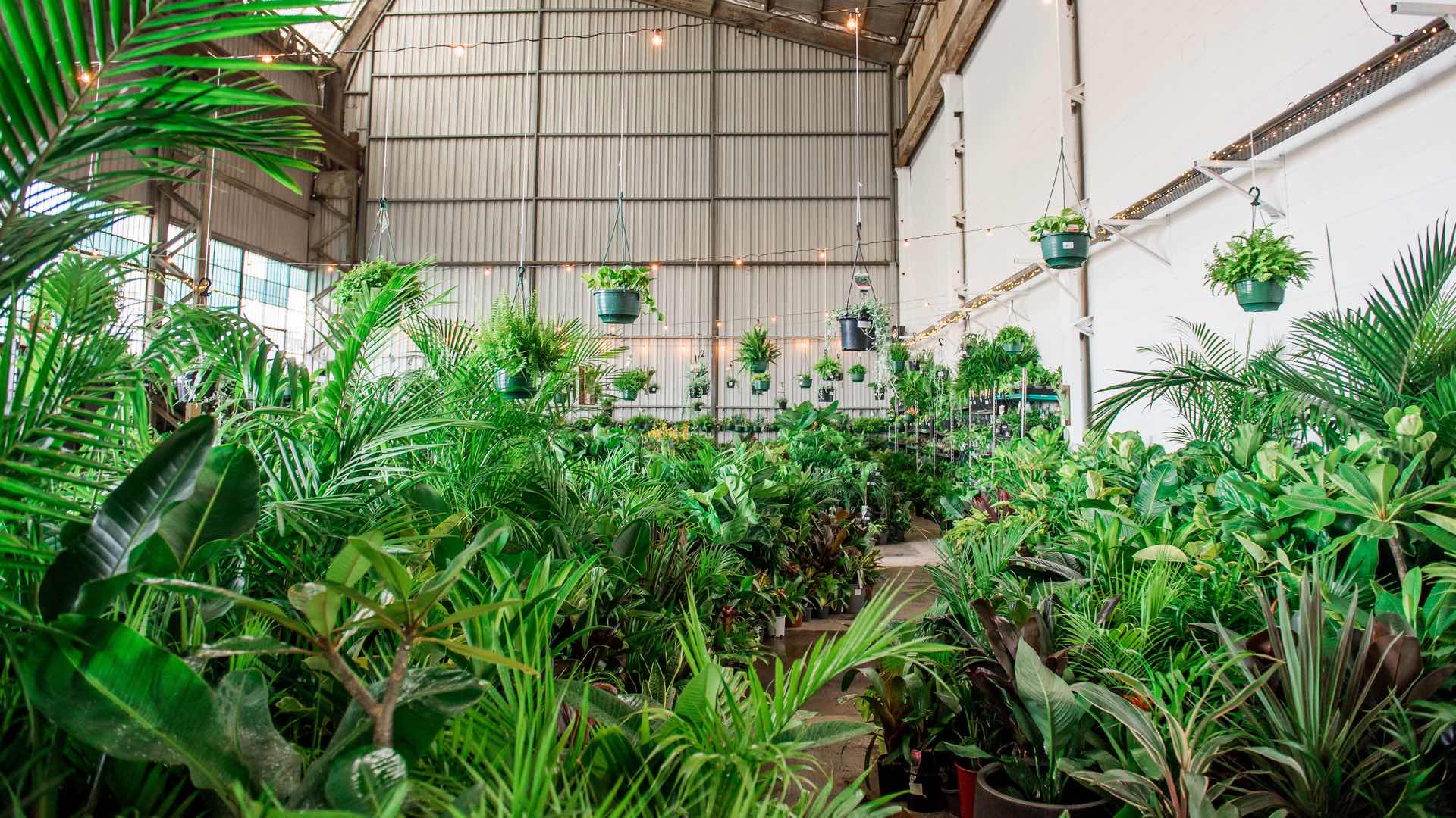 Indoor Plant Warehouse Party