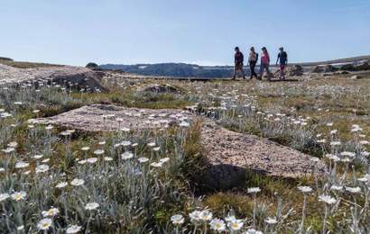 Background image for Five Jam-Packed Itineraries in the Snowy Mountains for the Avid Adventurer