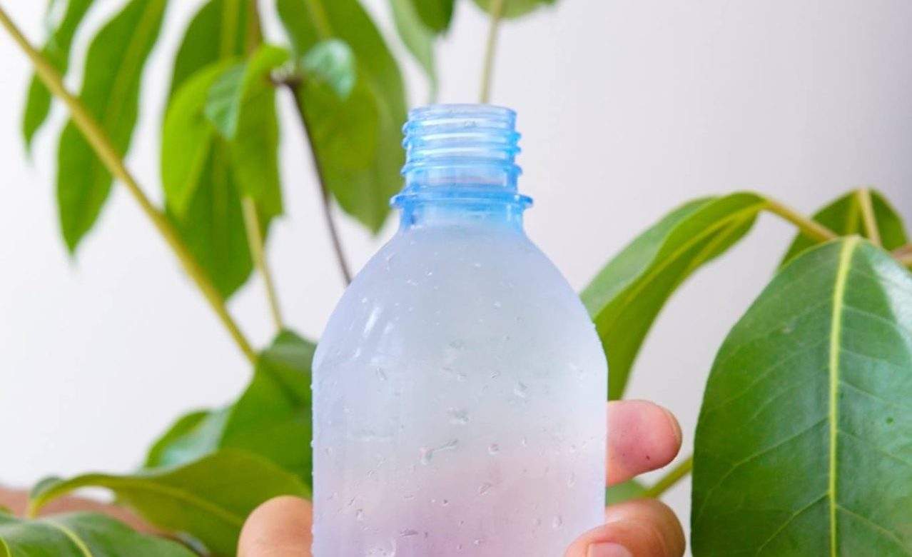 This New Zealand Company Has Created a Water Bottle Entirely From Plants