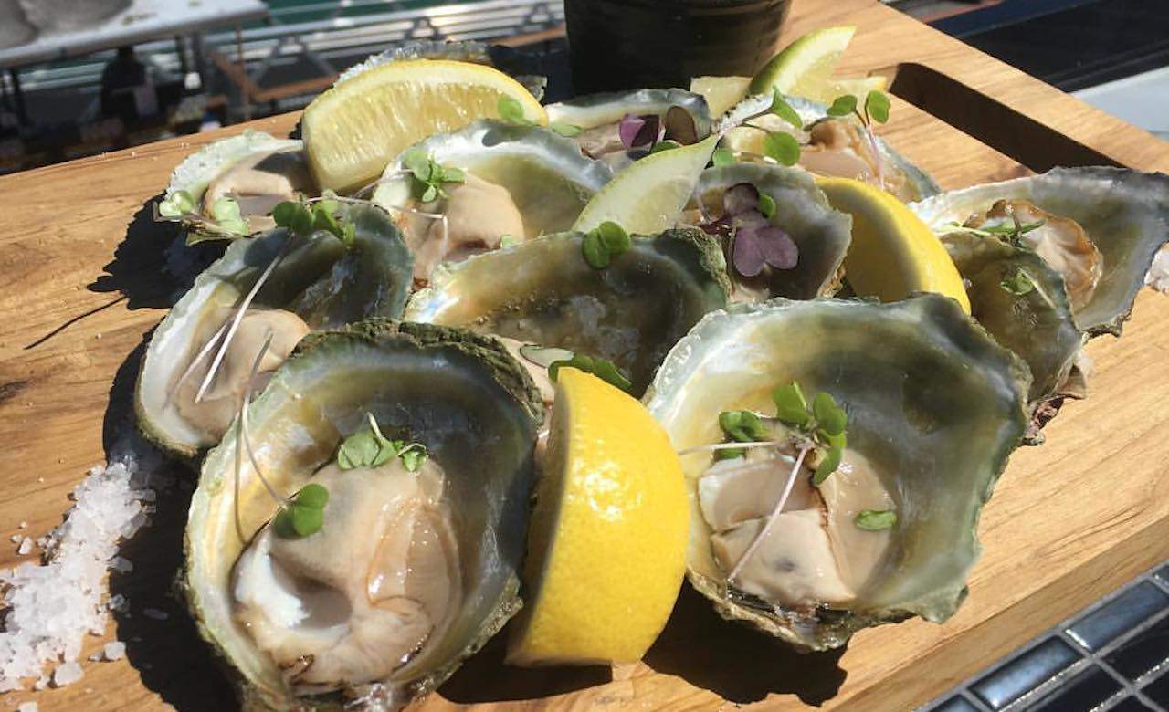 Seven Ways to Celebrate the Start of Bluff Oyster Season in Auckland