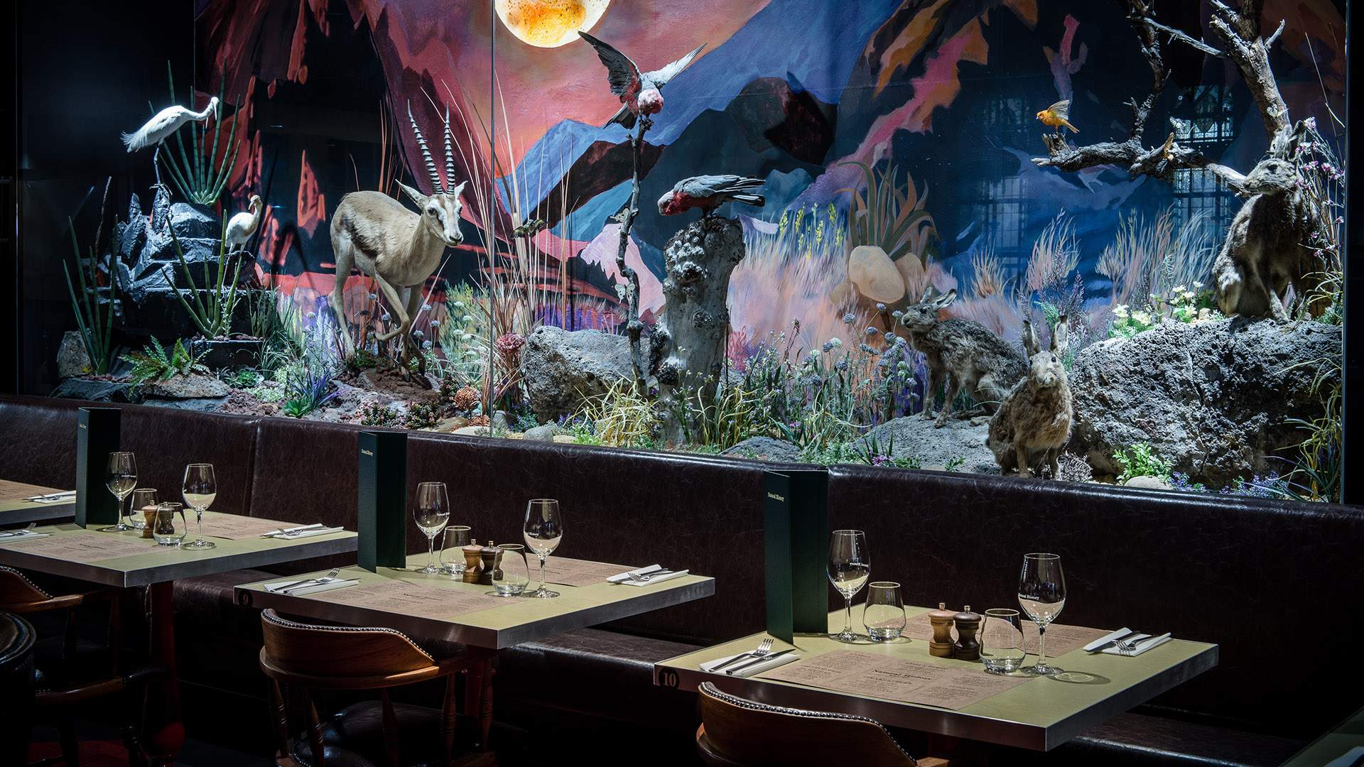 Natural History Is Melbourne's New Museum-Inspired All-Day Bar, Grill and Cafe