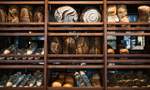 Ten of the Best Bakeries in Auckland