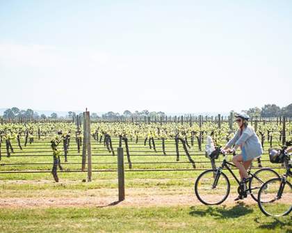 Five Lesser-Known Australian Wine Regions Frequented by Sommeliers