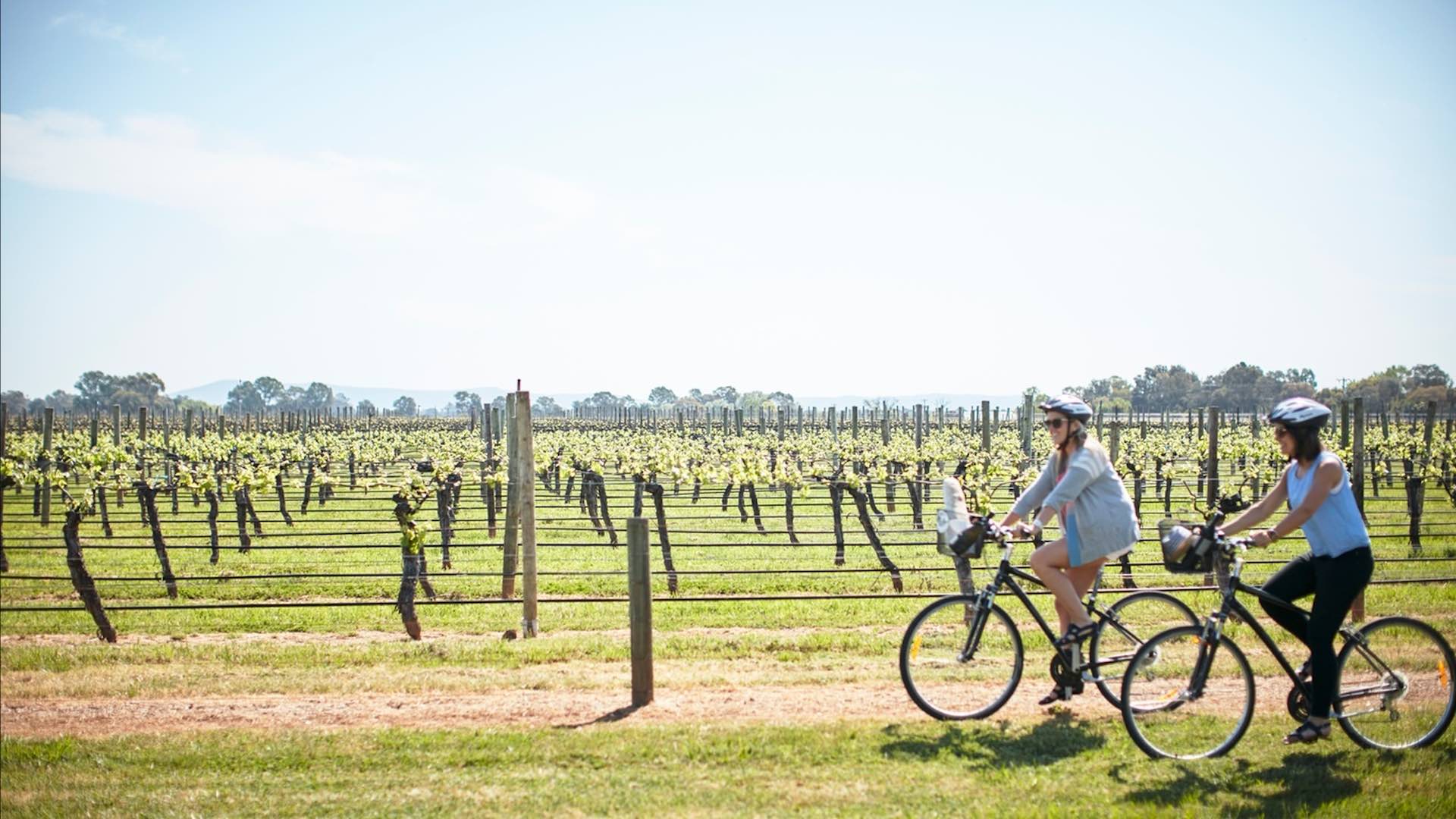 Five Lesser-Known Australian Wine Regions Frequented by Sommeliers