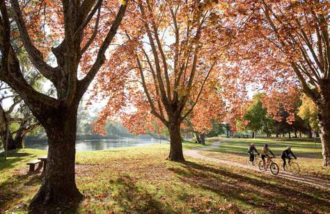 Five Ways to Enjoy the Colours of Autumn in the Murray Region