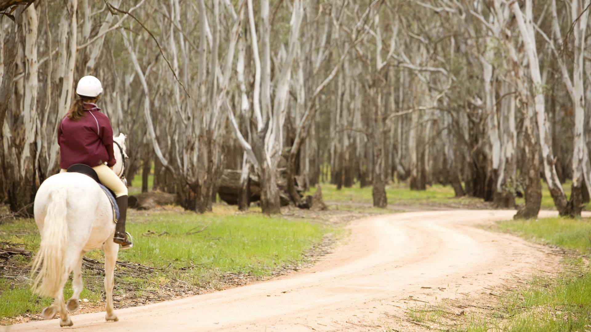 Five Ways to Enjoy the Colours of Autumn in the Murray ...