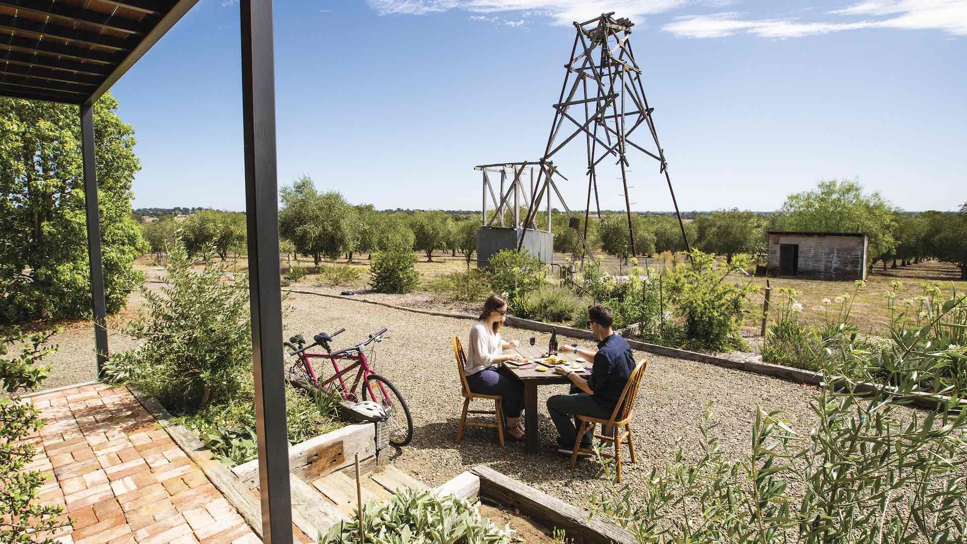 The Wicked Virgin and Calico Town Wines in Rutherglen