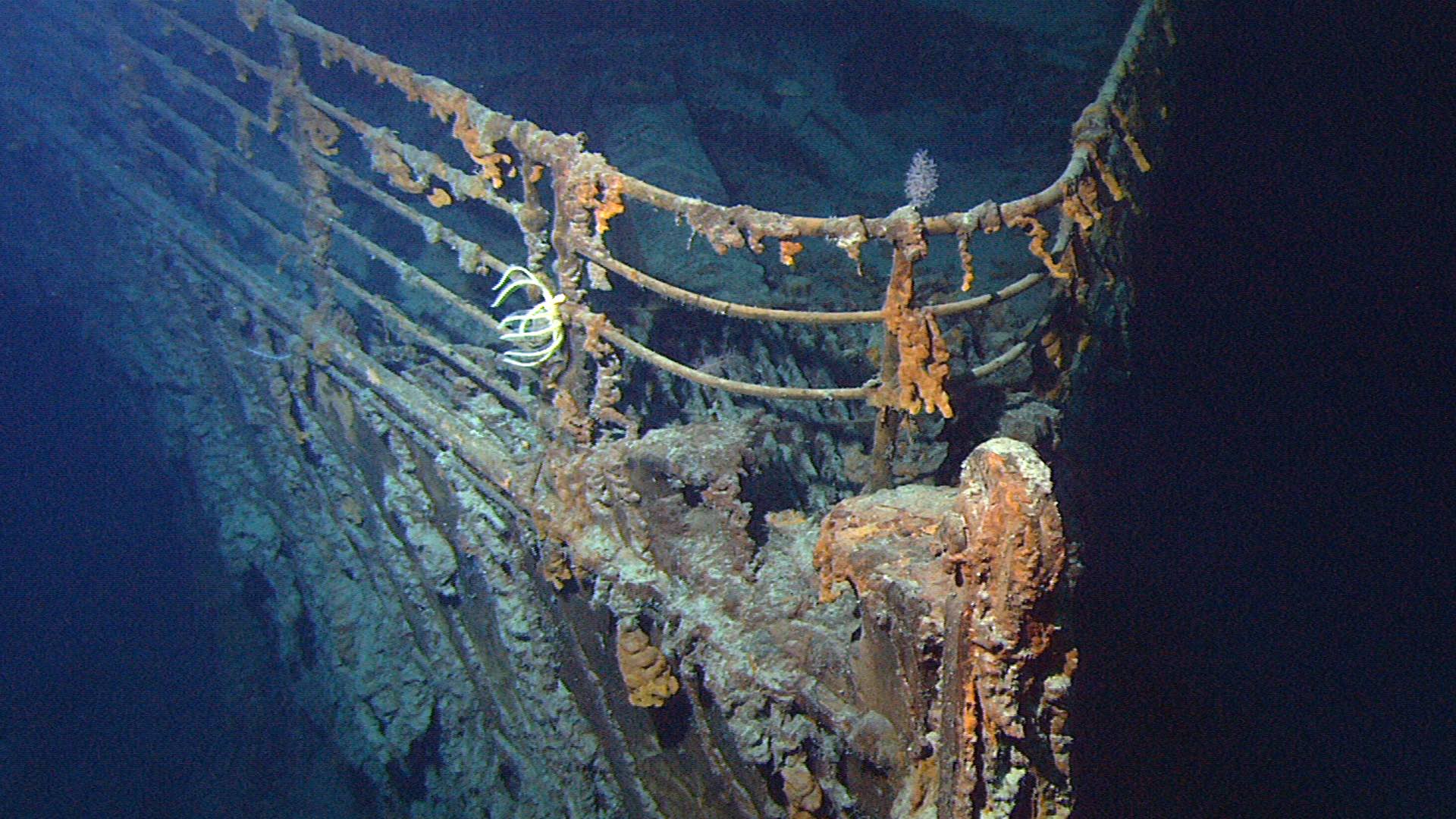 James Cameron Is Premiering His Huge Immersive Deep Sea Exhibition in Sydney