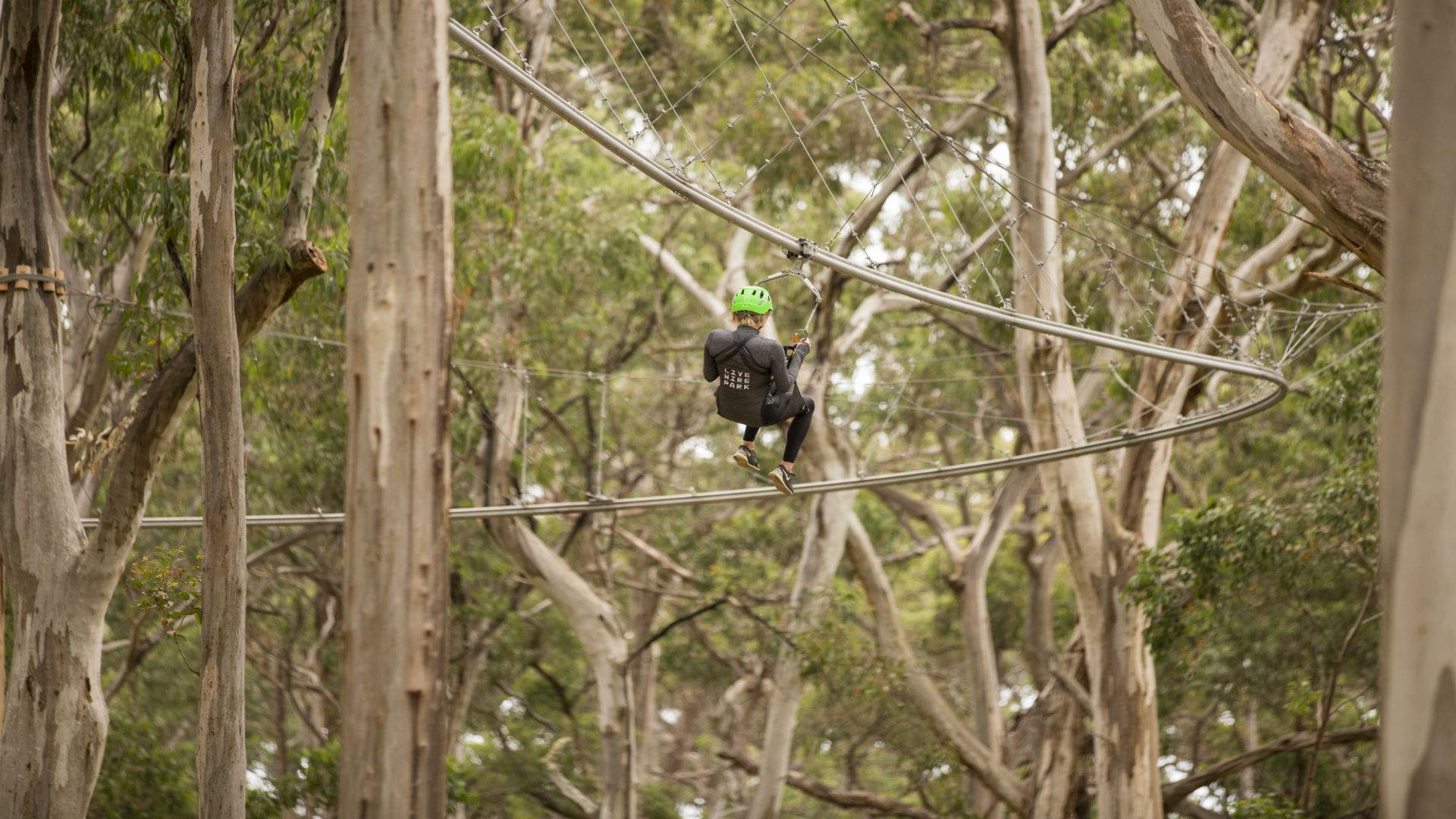 Victoria Has Just Scored an Epic New Off-the-Grid Aerial Adventure Park