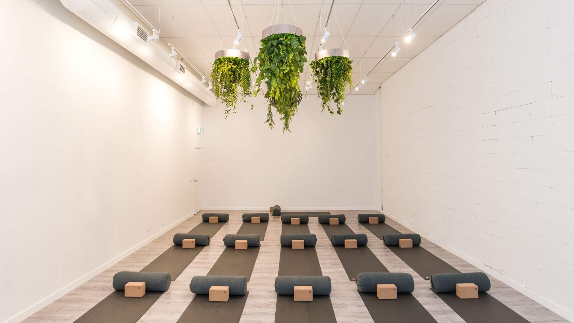 All for One Is Yarraville's New Greenery-Filled Full-Service Health and Wellness Studio