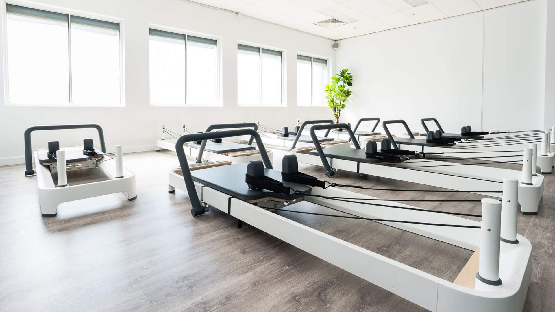 All for One Is Yarraville's New Greenery-Filled Full-Service Health and Wellness Studio