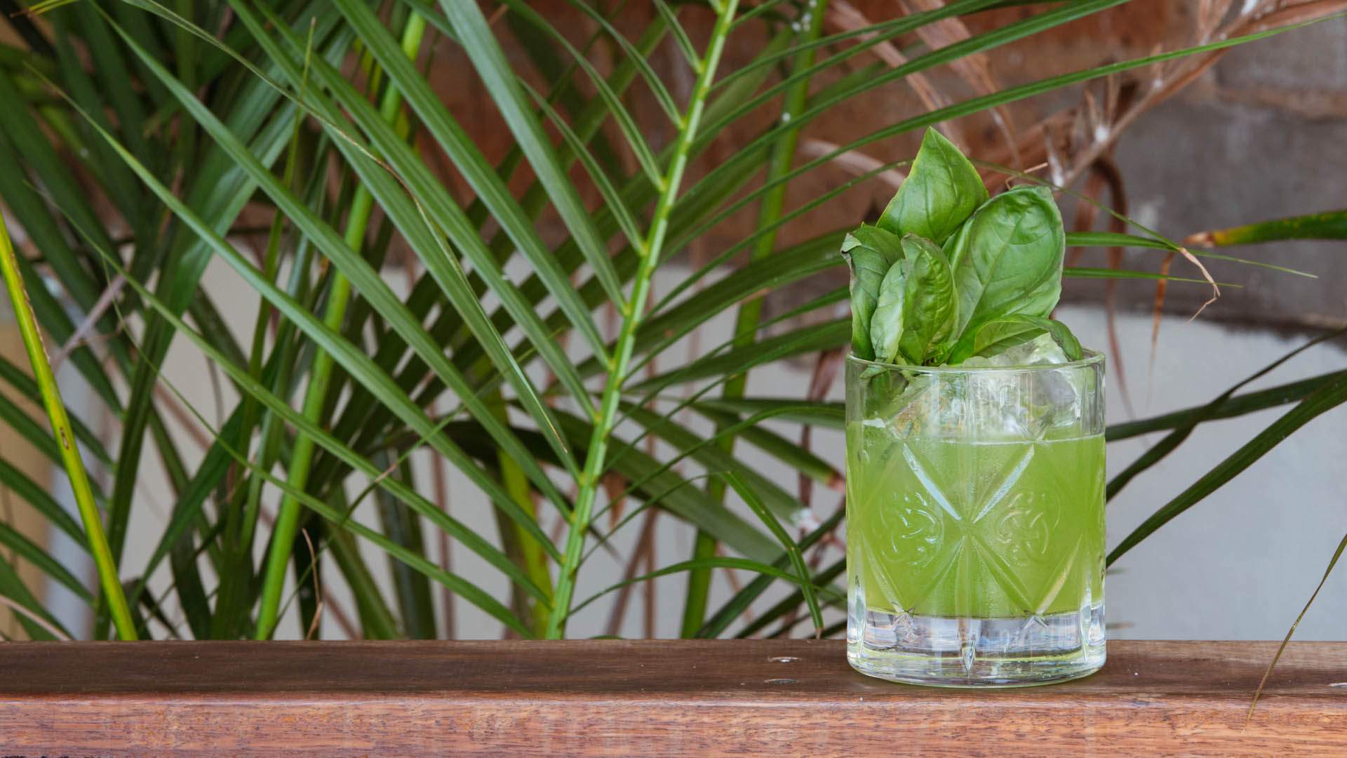 Five Classic and New Ways to Drink Gin at Home Concrete Playground