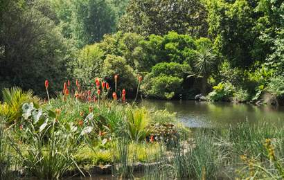 Background image for United Places Is Melbourne's New Homestyle Luxury Hotel Opposite the Botanic Gardens
