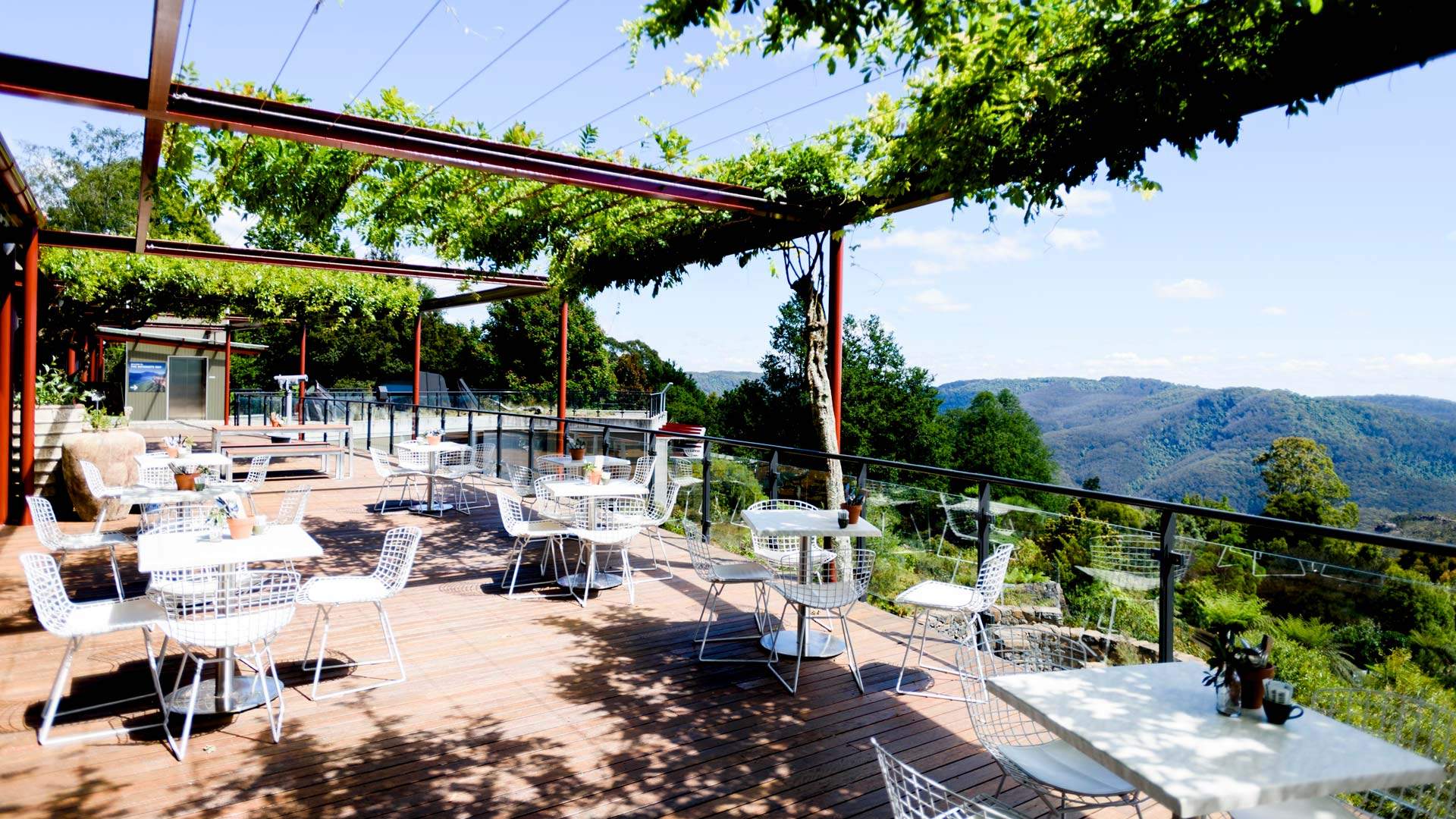 The Best Cafes in the Blue Mountains