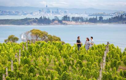 Background image for A Weekender's Guide to Waiheke Island
