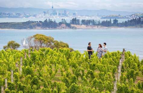 The Best Summer Day Trips Out of Auckland