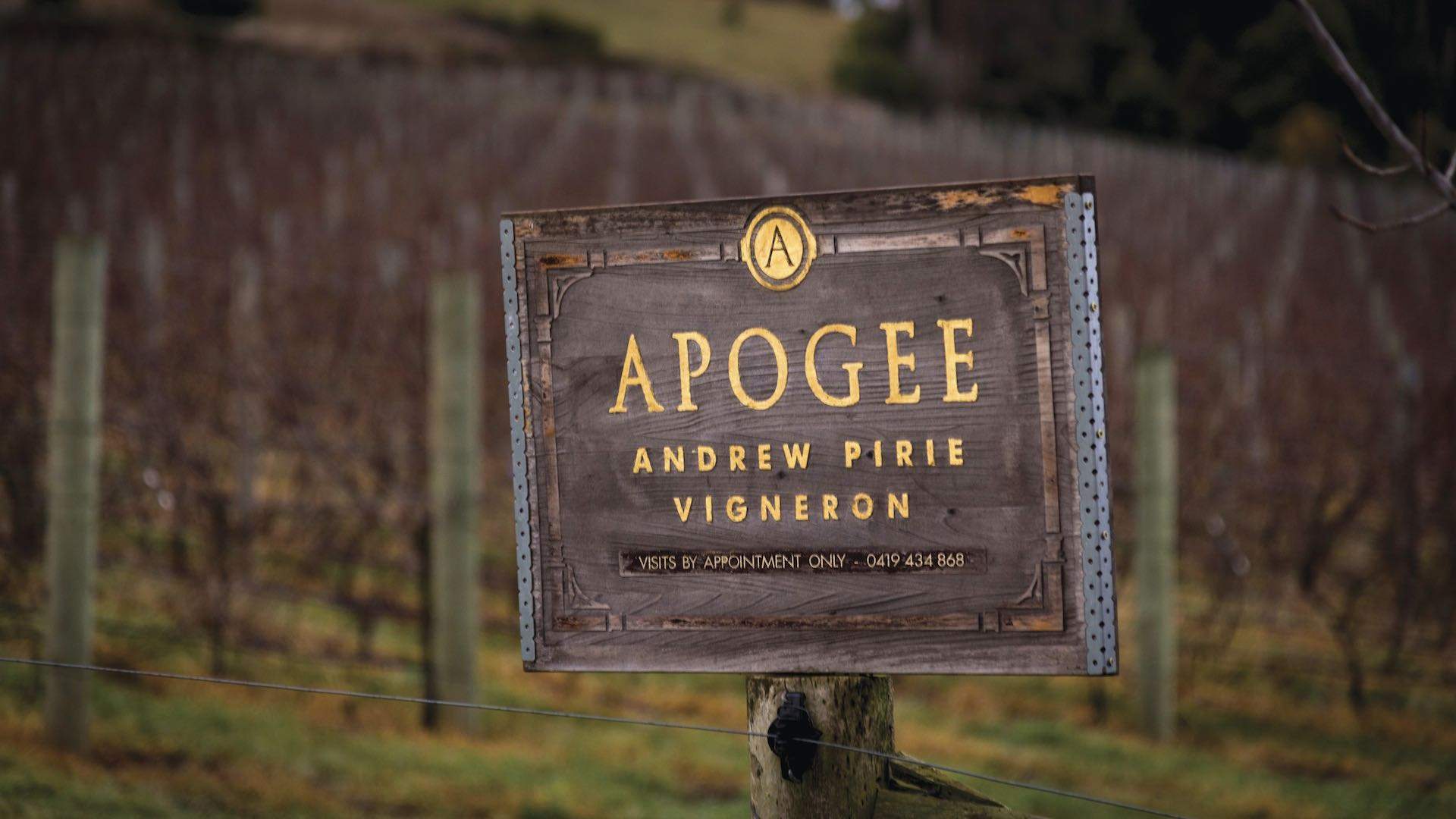Apogee Wines in Tasmania
