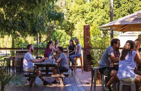 Melbourne's Best Dog-Friendly Bars, Cafes and Restaurants - Concrete ...