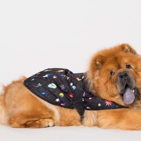 Gorman Has Just Dropped a New Range of Raincoats for Very Good (Well-Dressed) Dogs