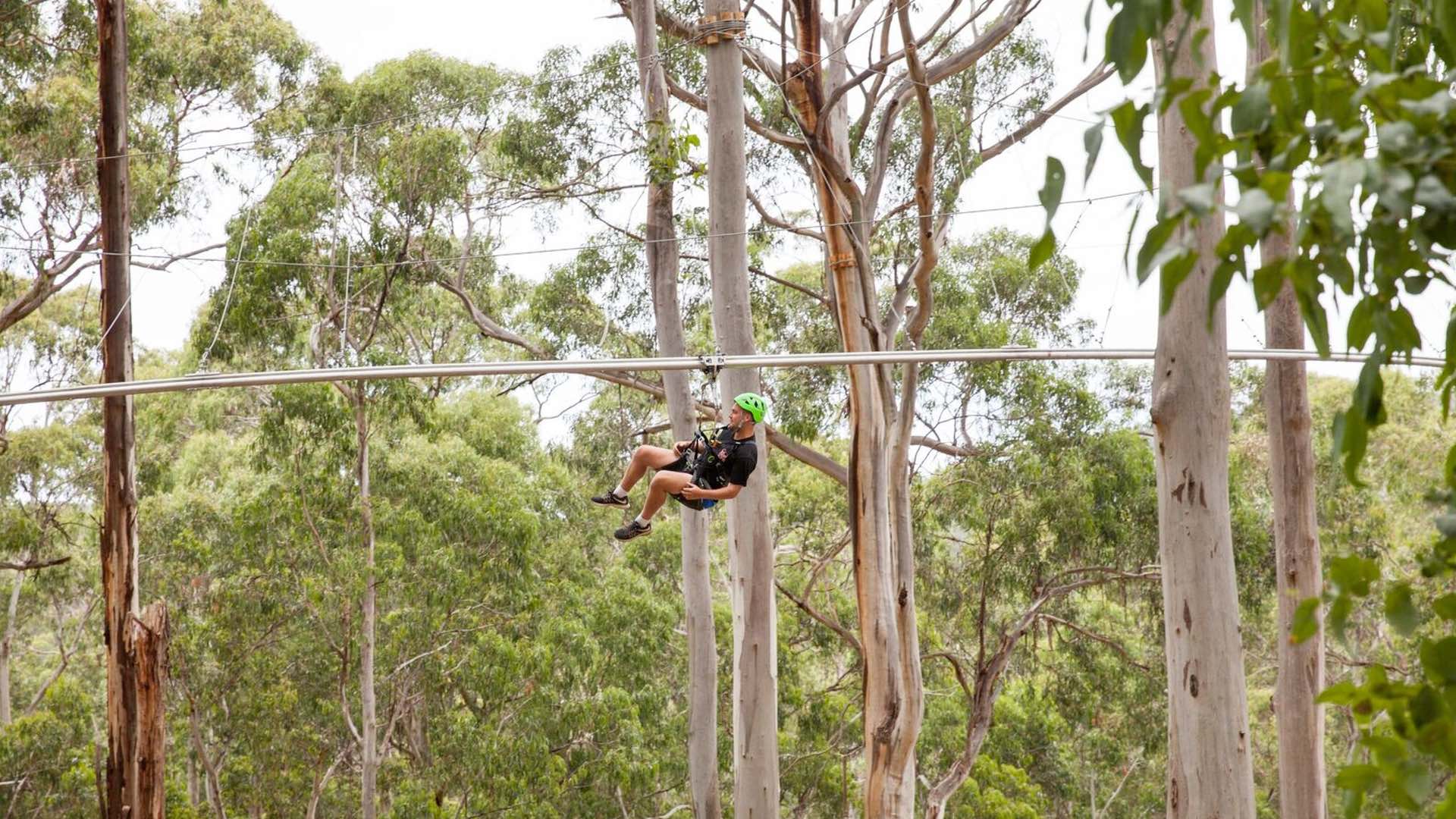 Live Wire Is Victoria s Epic New Off the Grid Aerial Adventure Park