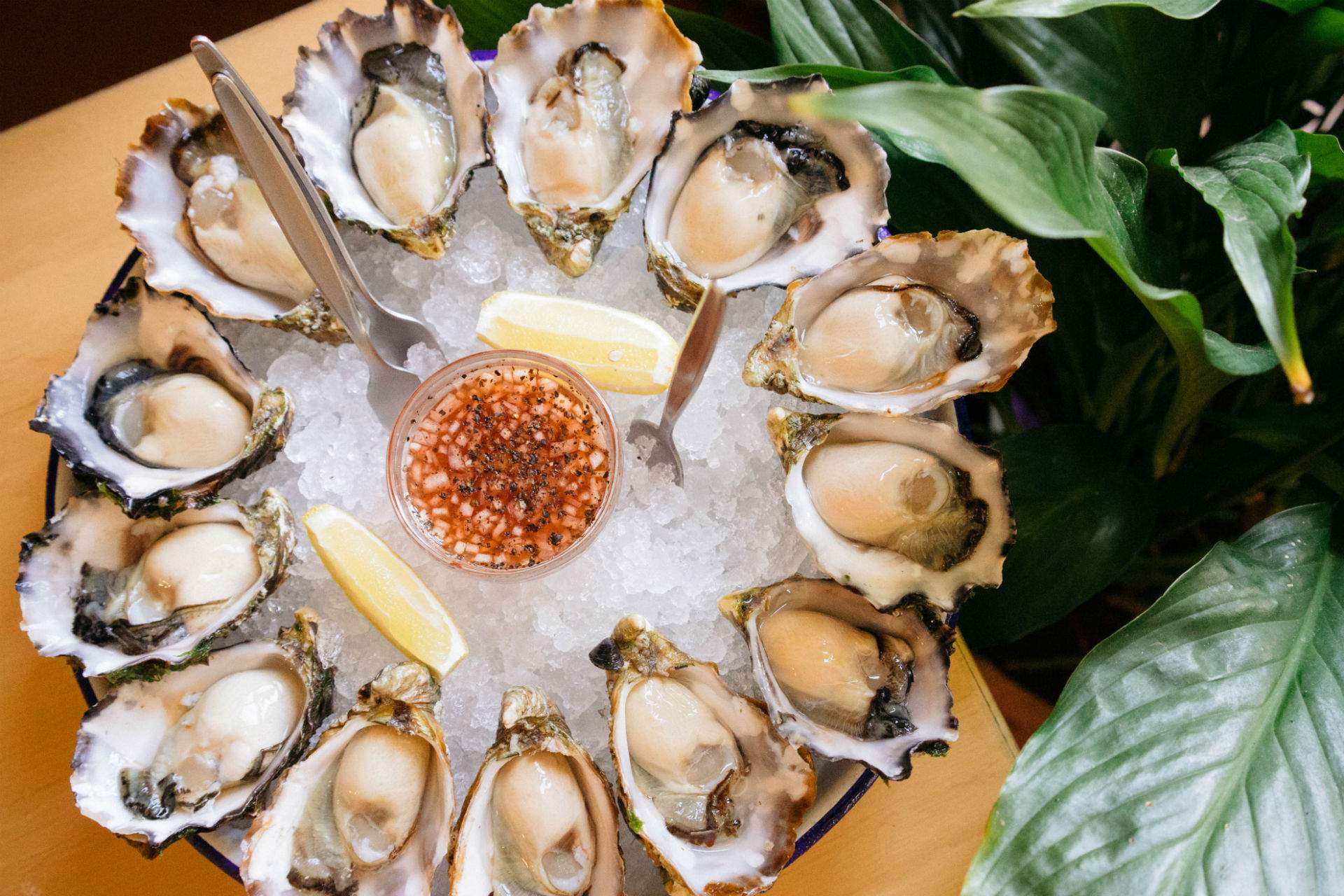 Shucks Is Brisbane's Decadent New Oyster Bar Overlooking the Manly Marina