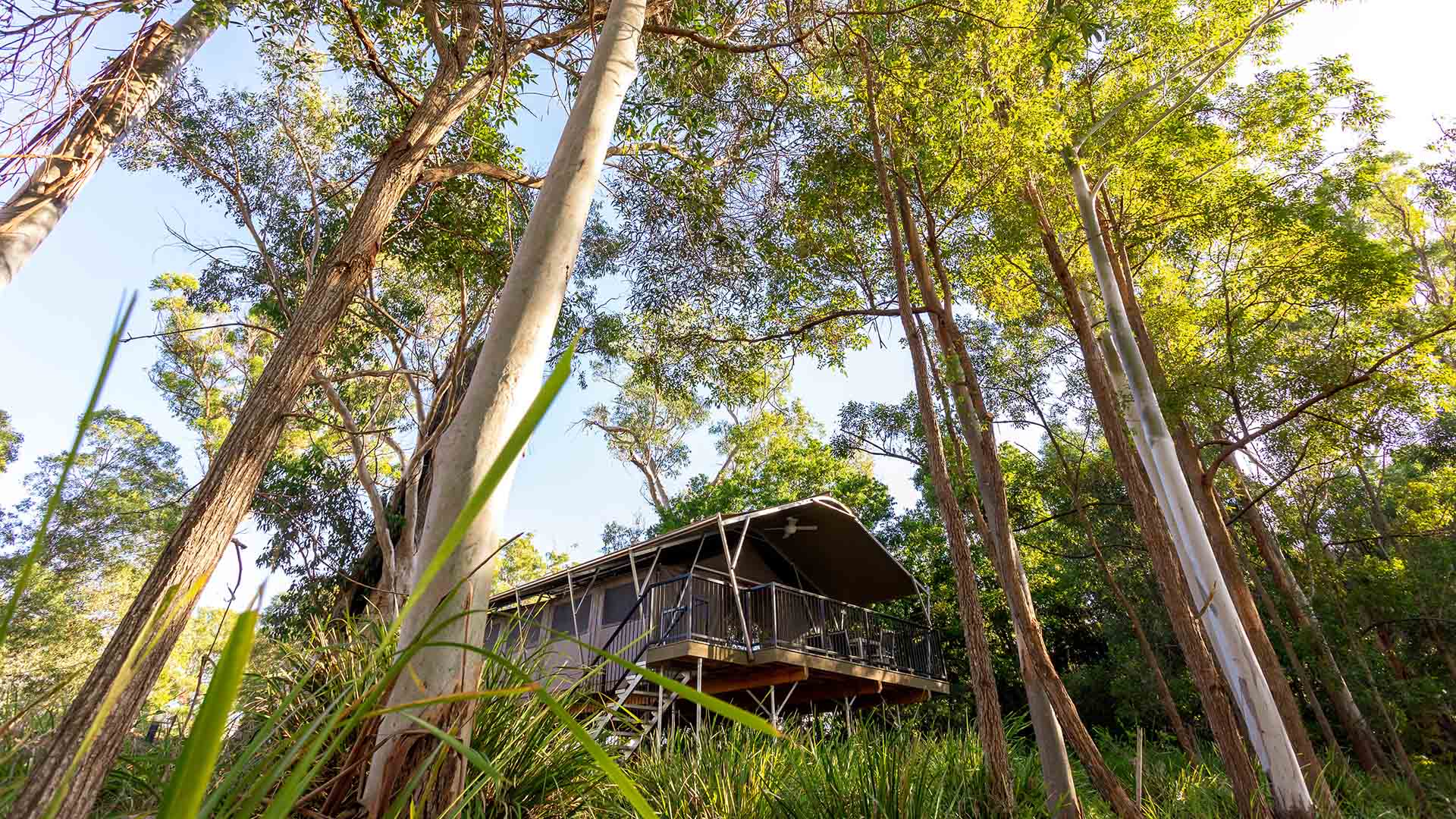 Sanctury by Sirromet - some of the best glamping near Brisbane, Queensland.