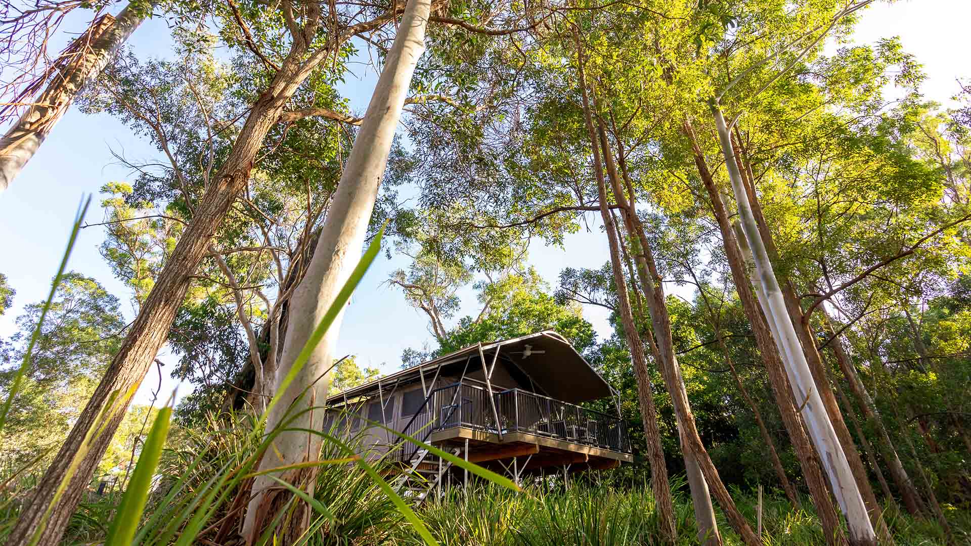 The Eight Best Places to Go Glamping Near Brisbane for 2024