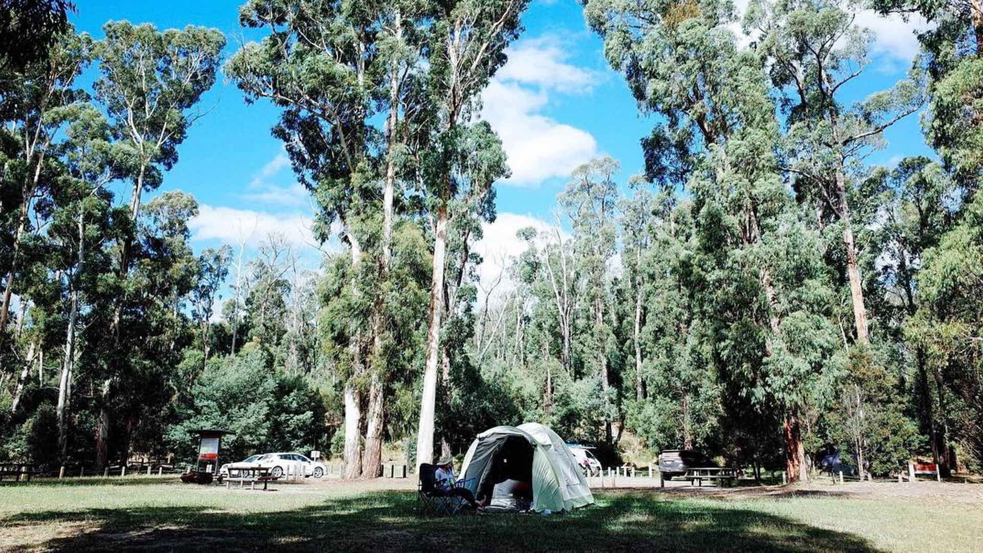 ANDERSONS GARDEN, MOUNT DISAPPOINTMENT - the best free camping melbourne victoria