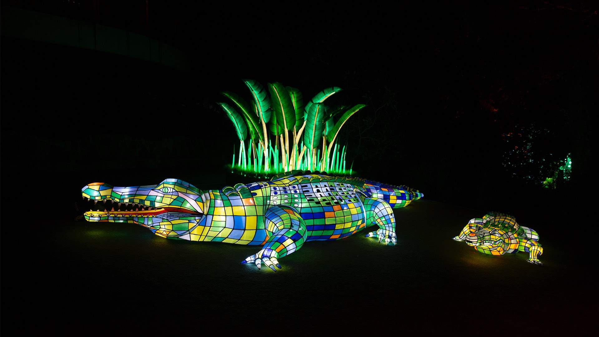 Sydney's Taronga Zoo Has Been Spectacularly Illuminated for This Year's Vivid Festival