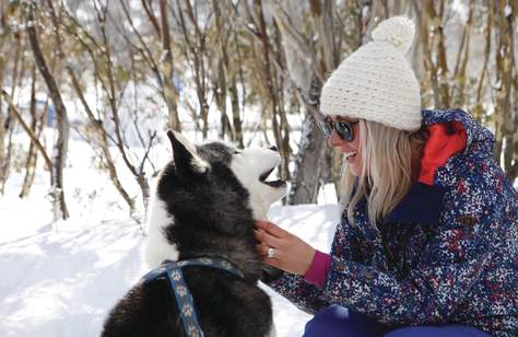 Huskies and Helicopters: A Non-Skier's Guide to Adventuring in Victoria's Alpine Villages