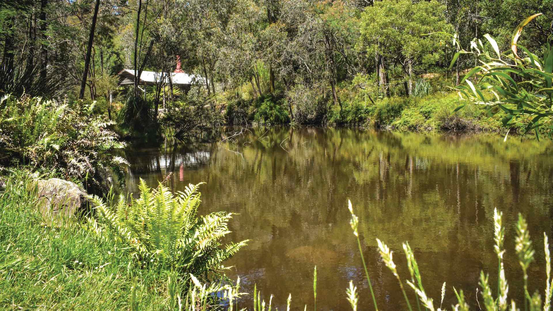 KURTH KILN, DANDENONG RANGES - the best free camping melbourne victoria campsites