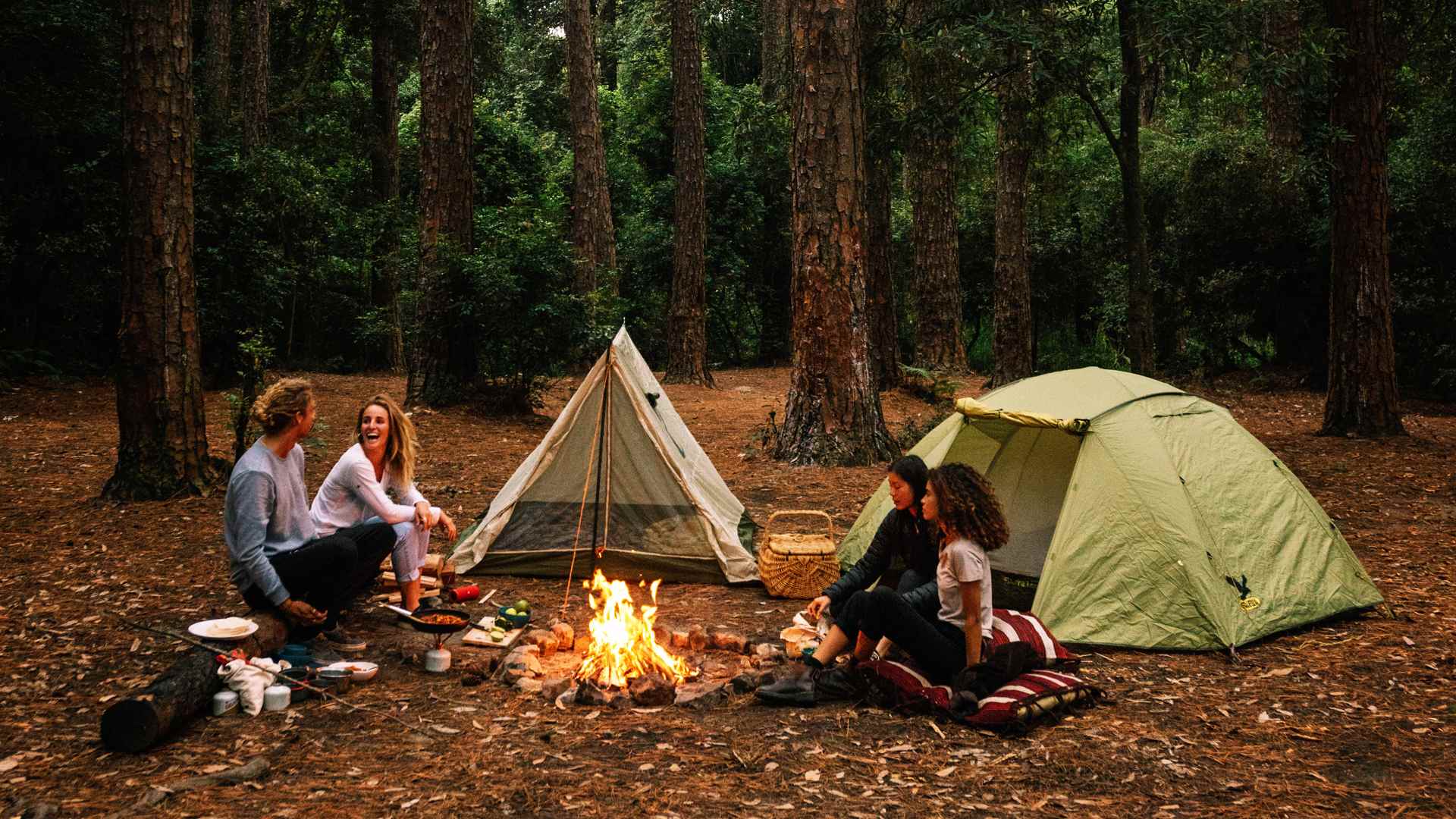 The Pines in ONley State Forest - one of the best free camping near Sydney, NSW