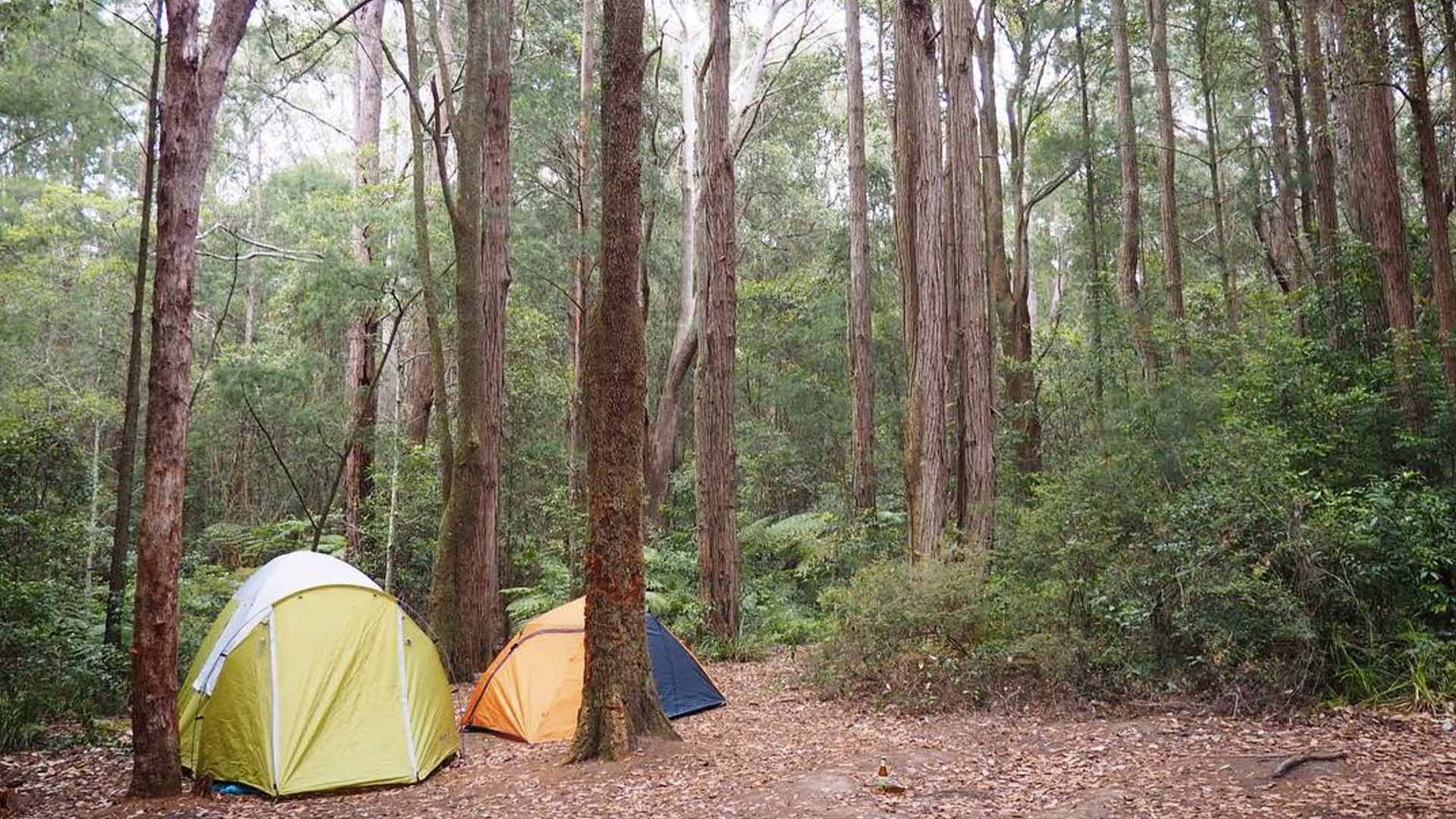 NSW
