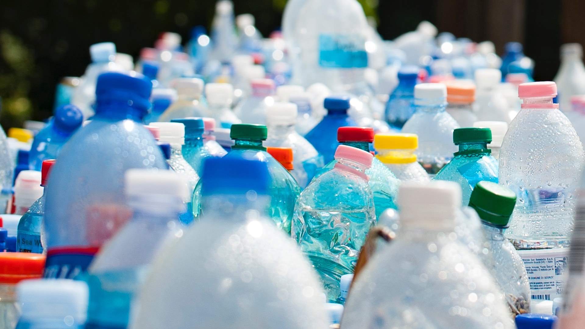The UK Parliament Has Made a Landmark Decision to Go Plastic-Free