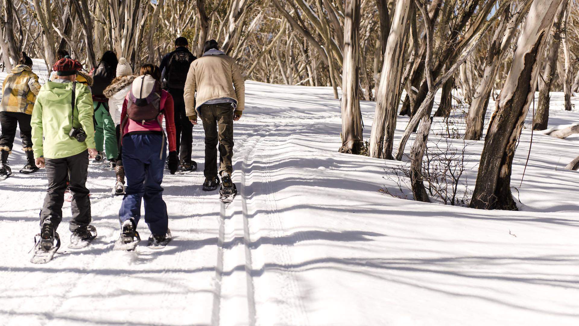 Five Snow Activities to Add to Your Winter Calendar - Concrete Playground