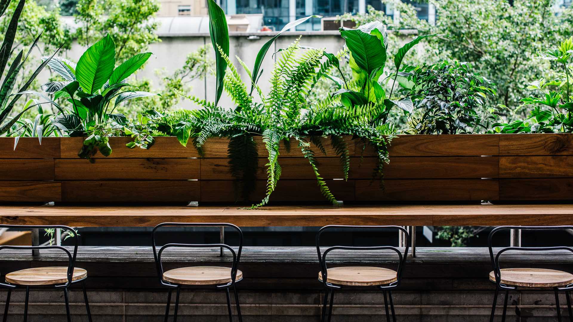 Sydney's Verandah Bar Has Just Reopened as a Sleek New CBD Garden Oasis