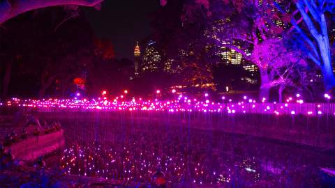 Sixteen Glowing Installations Have Popped Up in the Royal Botanic Garden for Vivid Sydney 2018