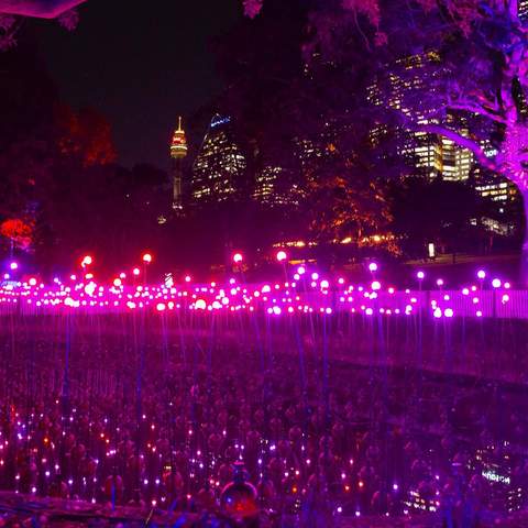 Sixteen Glowing Installations Have Popped Up in the Royal Botanic Garden for Vivid Sydney 2018