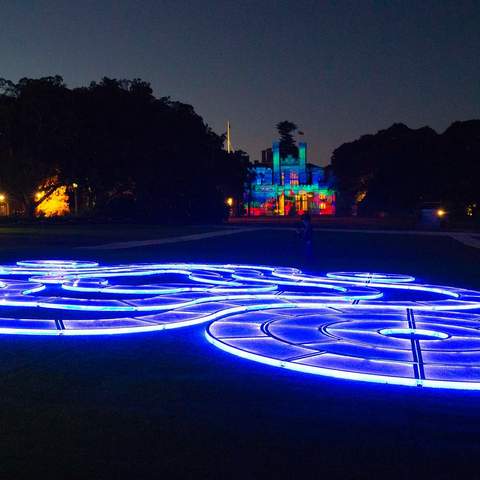 Sixteen Glowing Installations Have Popped Up in the Royal Botanic Garden for Vivid Sydney 2018